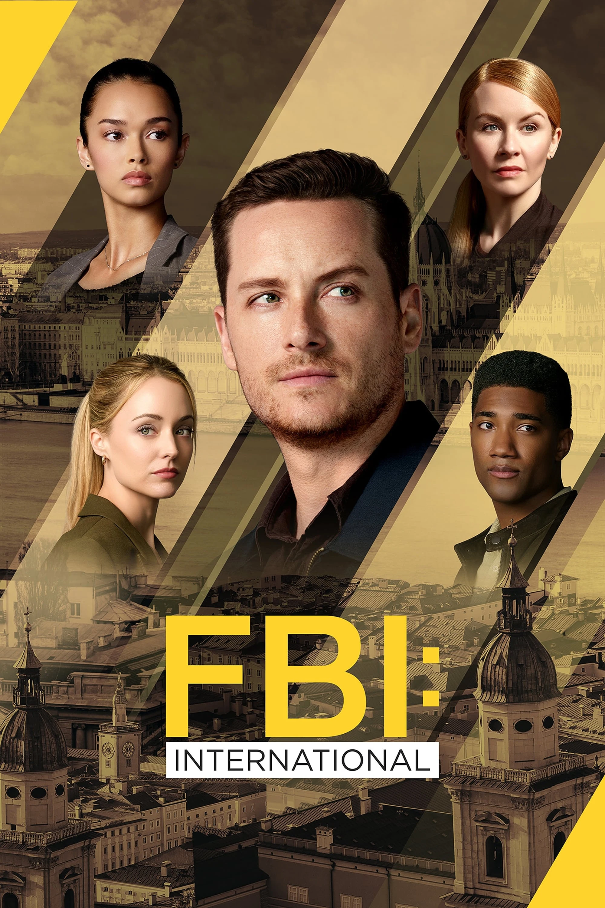 Poster  de FBI: International en inglés