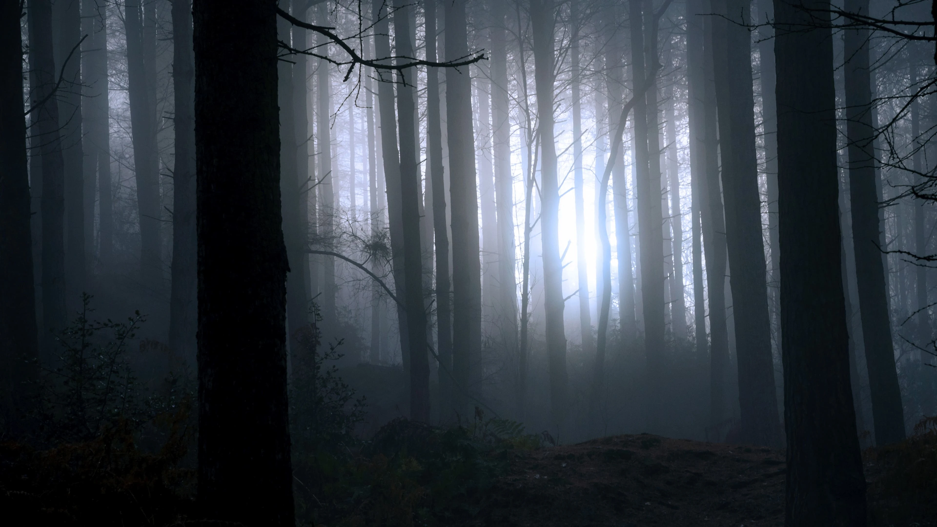 Foto de Finding Bigfoot