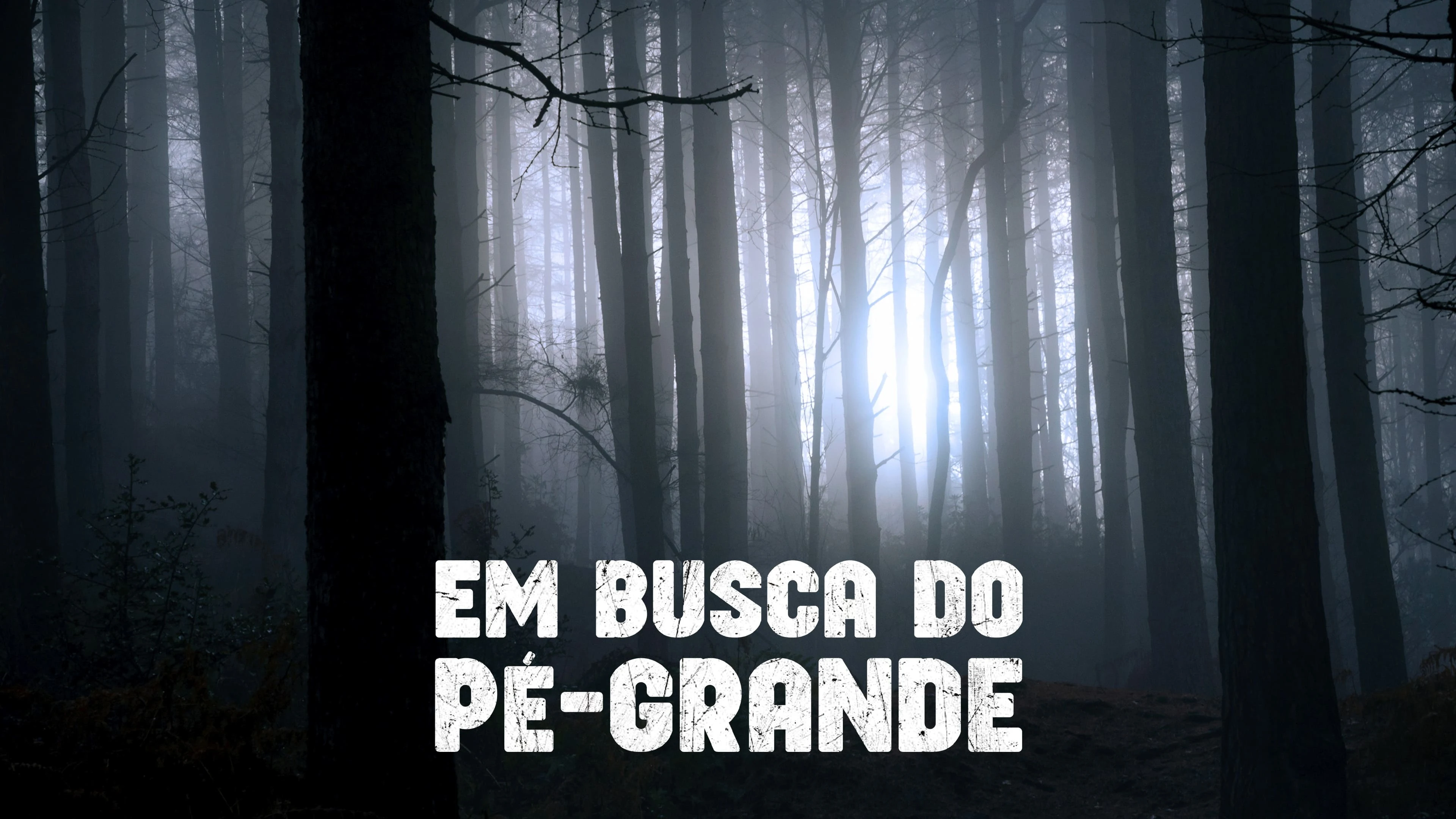 Foto de Finding Bigfoot