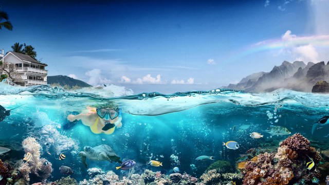 Quiero vivir en Hawái