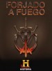 Forged in Fire