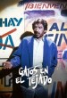 Gatos en el tejado