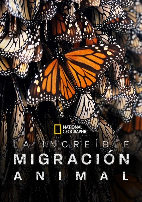 Poster  de la temporada 1 de Great Migrations