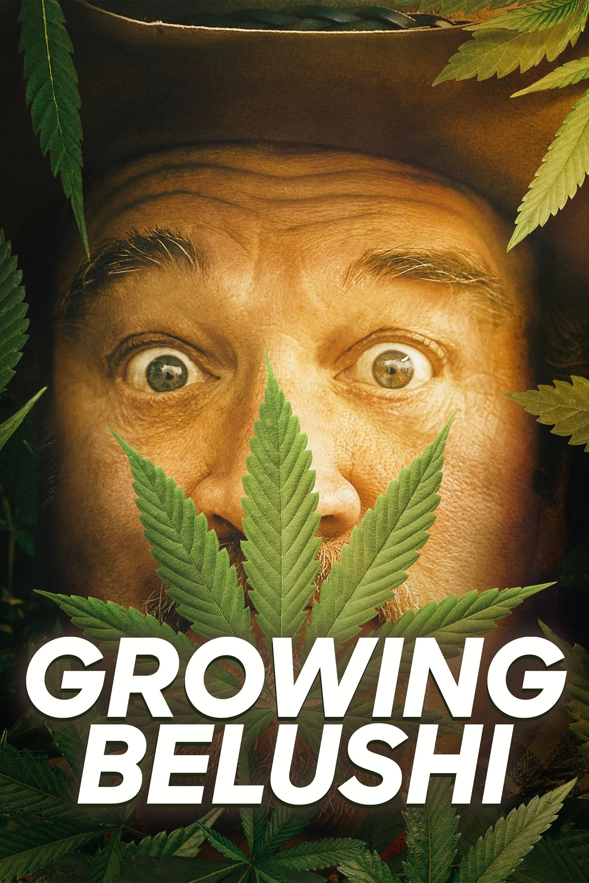 Poster  de Growing Belushi