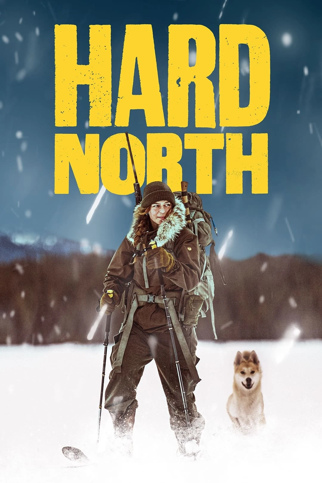 Poster  de Hard North