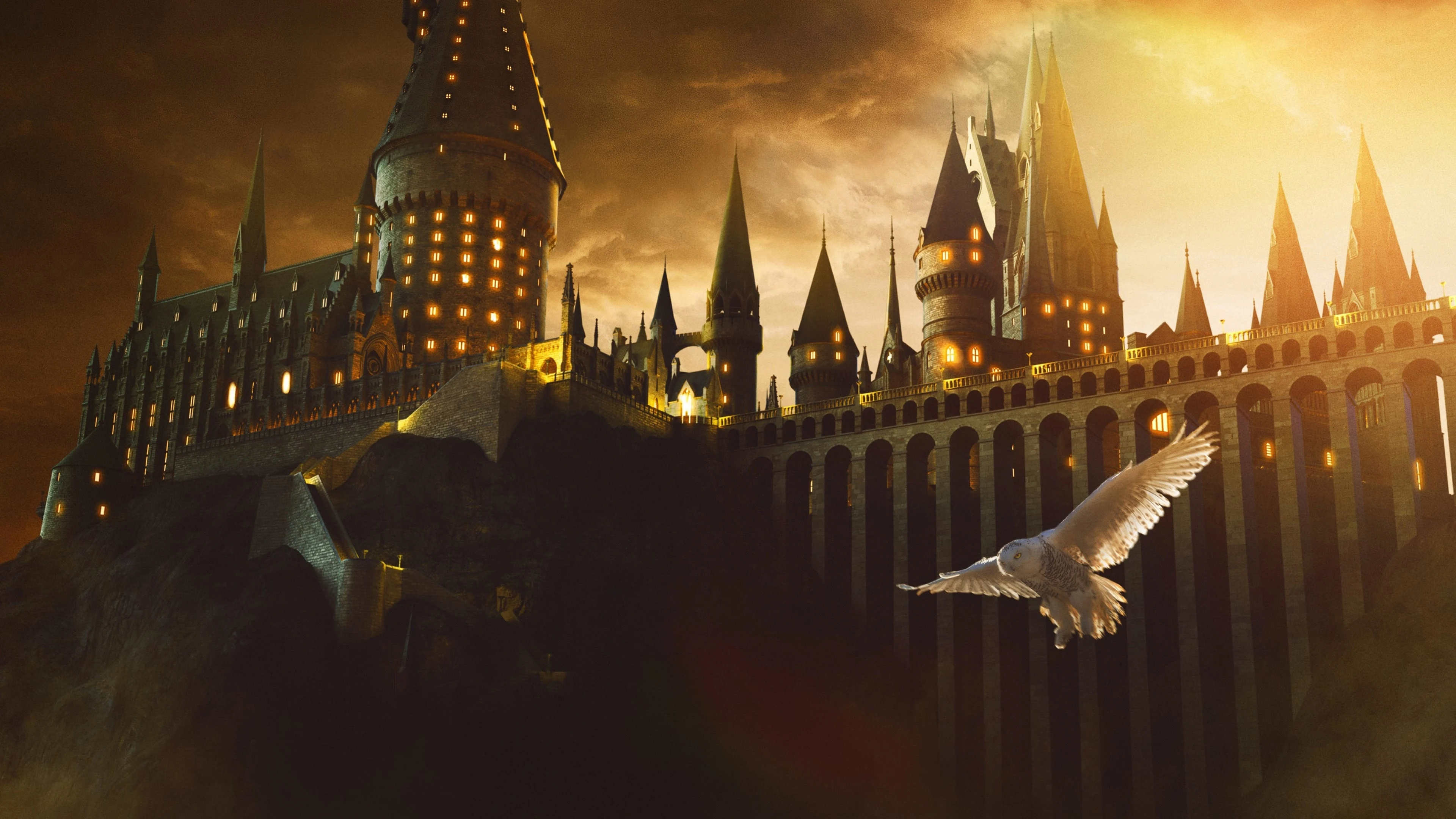 Foto de Harry Potter