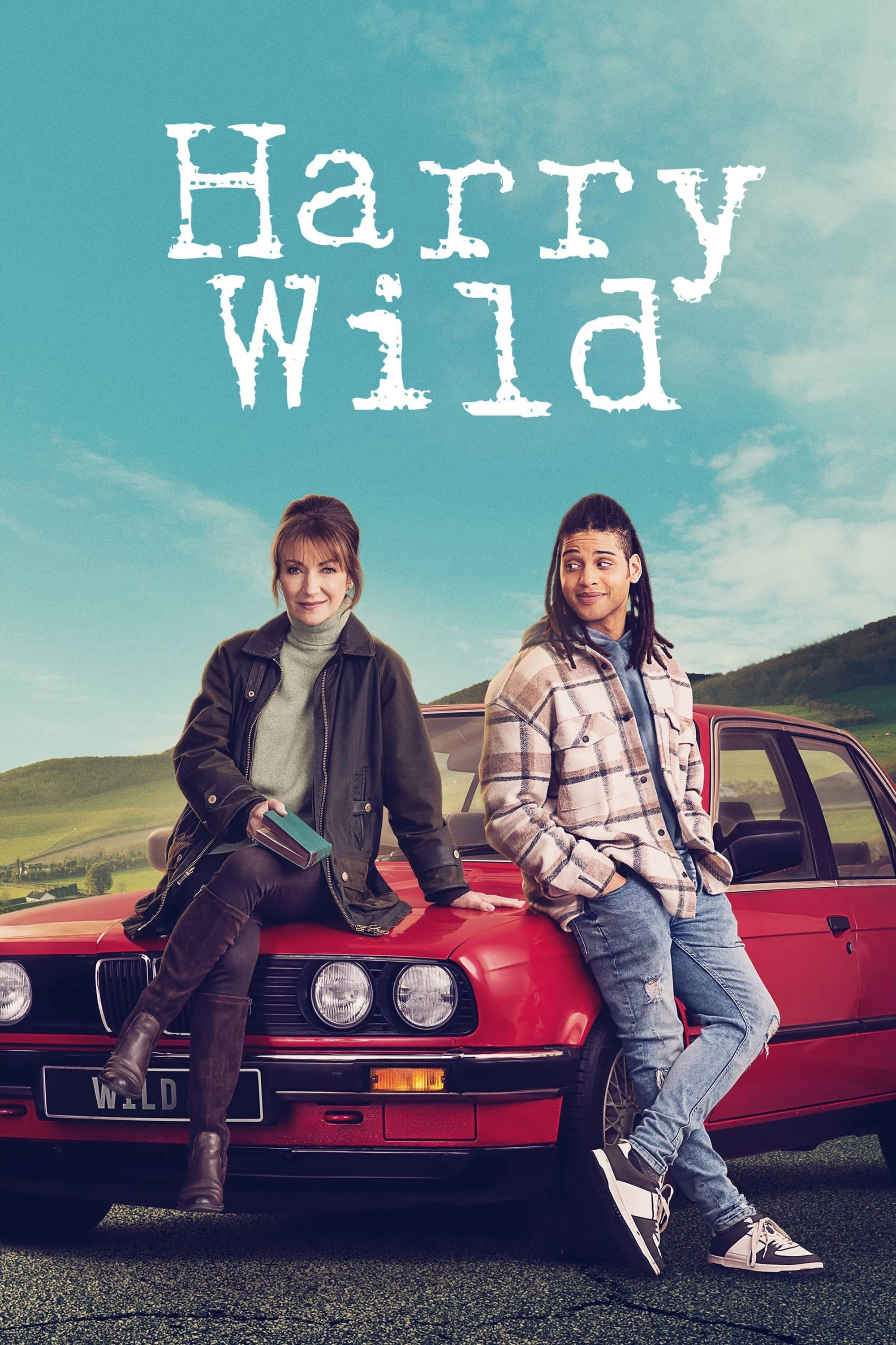 Poster  de Harry Wild en inglés