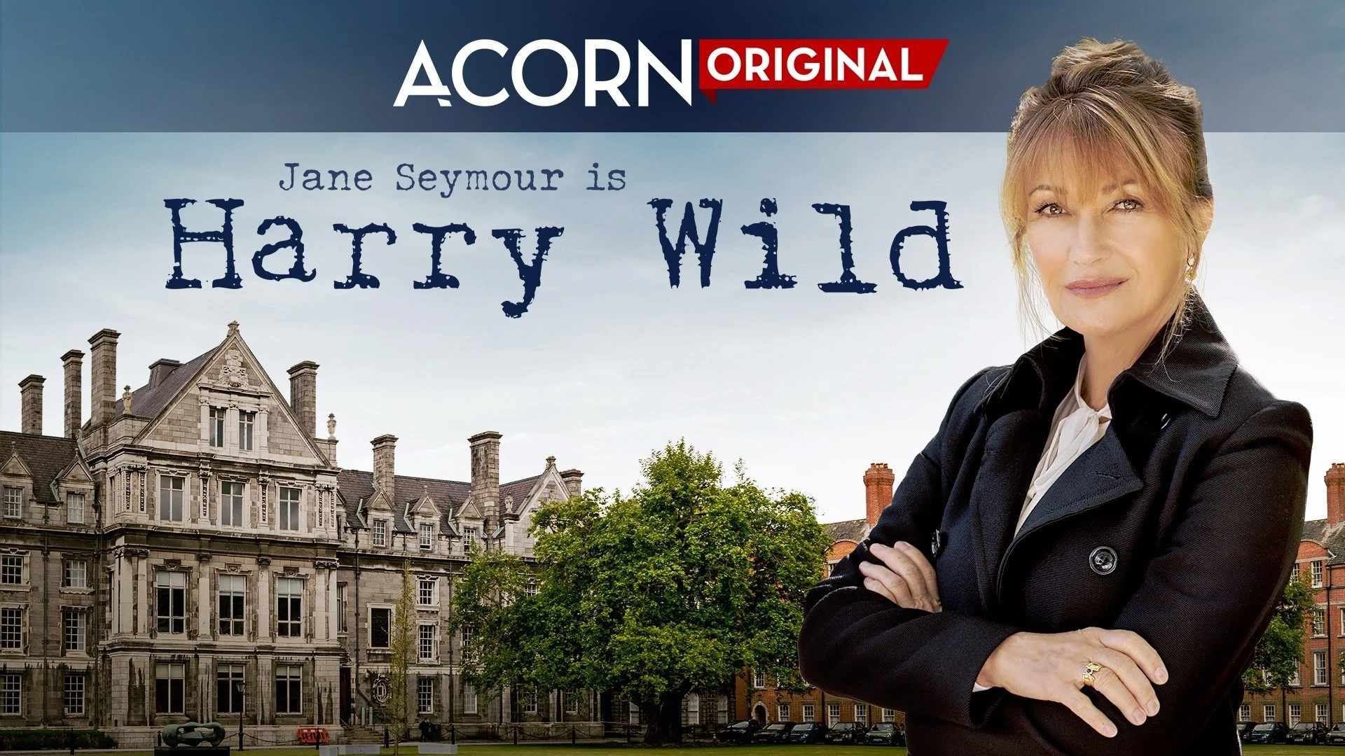 Foto de Harry Wild