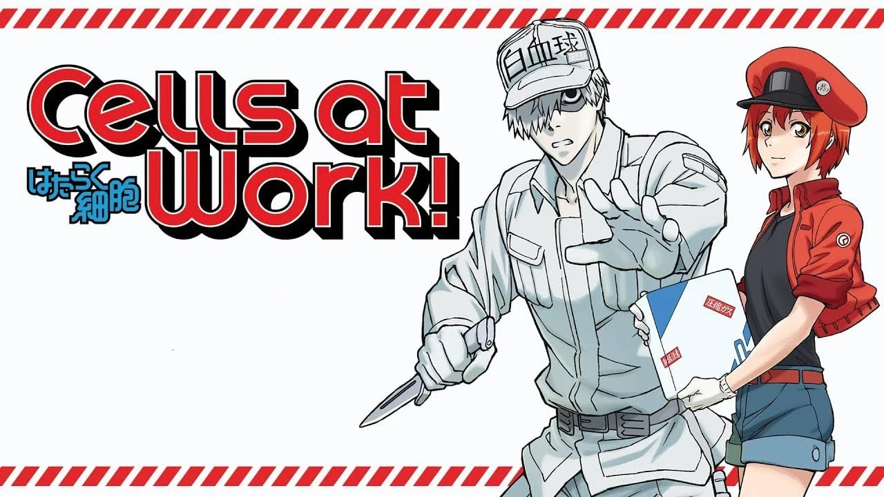 Foto de Hataraku Saibou