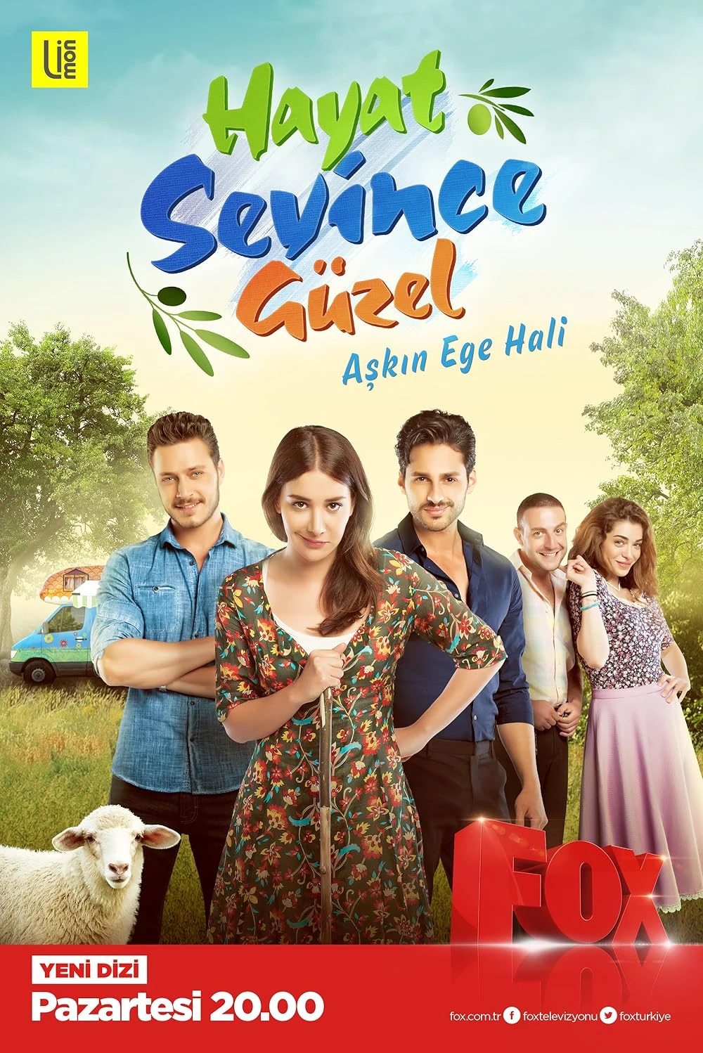 Poster  de Hayat Sevince Güzel