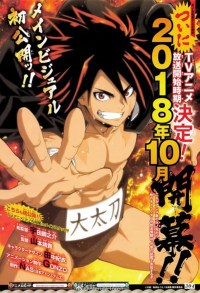 Serie Hinomaru Sumo
