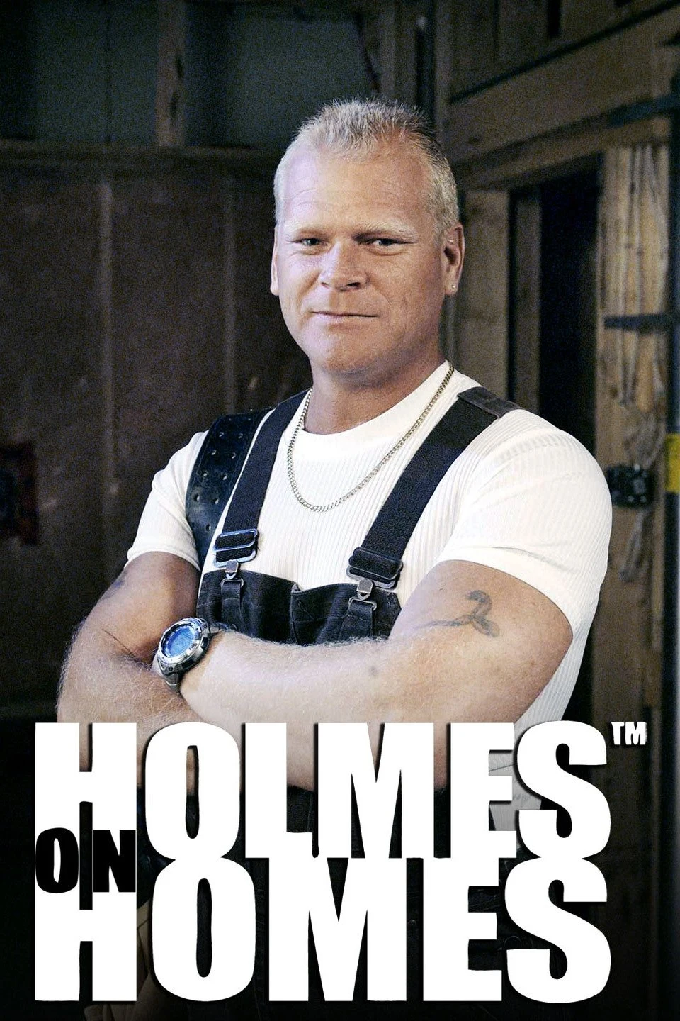 Poster  de Holmes on Homes en inglés