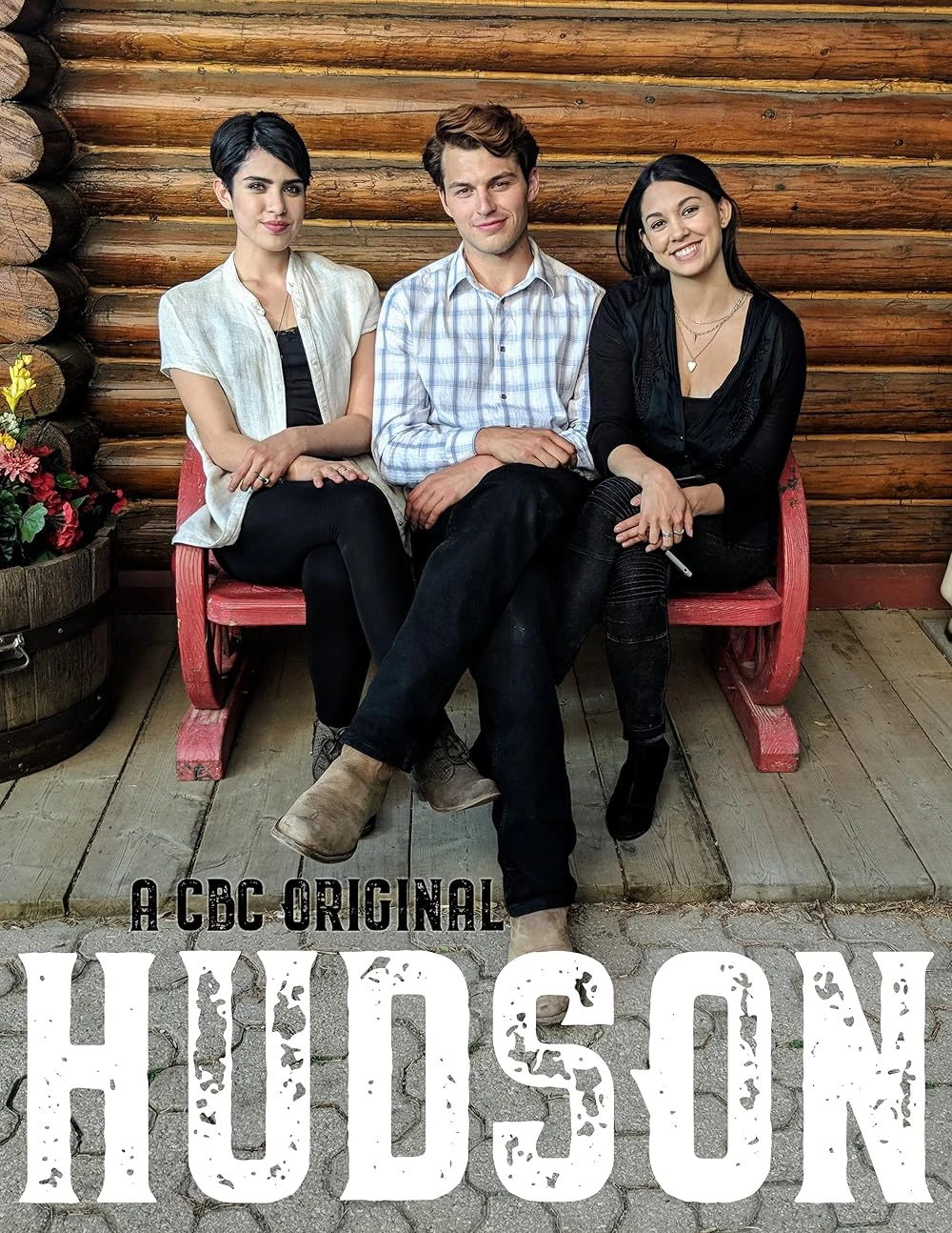 Poster  de Hudson