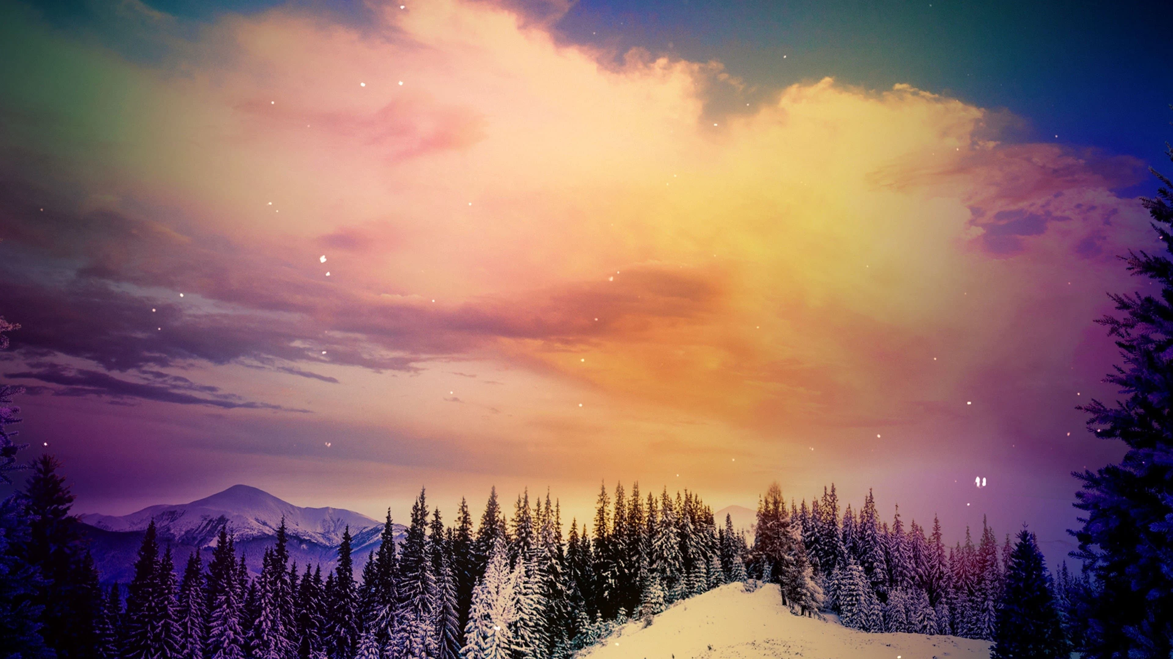 Foto de The Great Christmas Light Fight