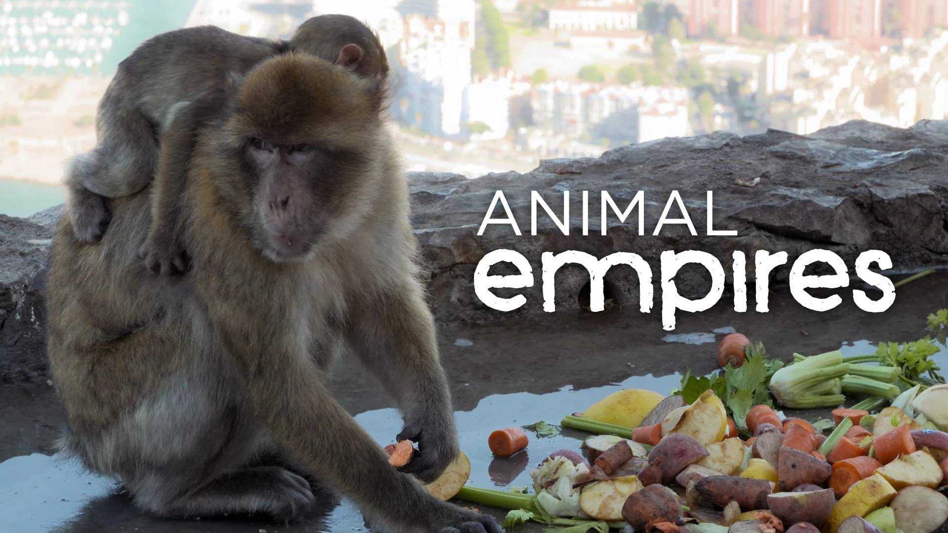 Foto de Animal Empires
