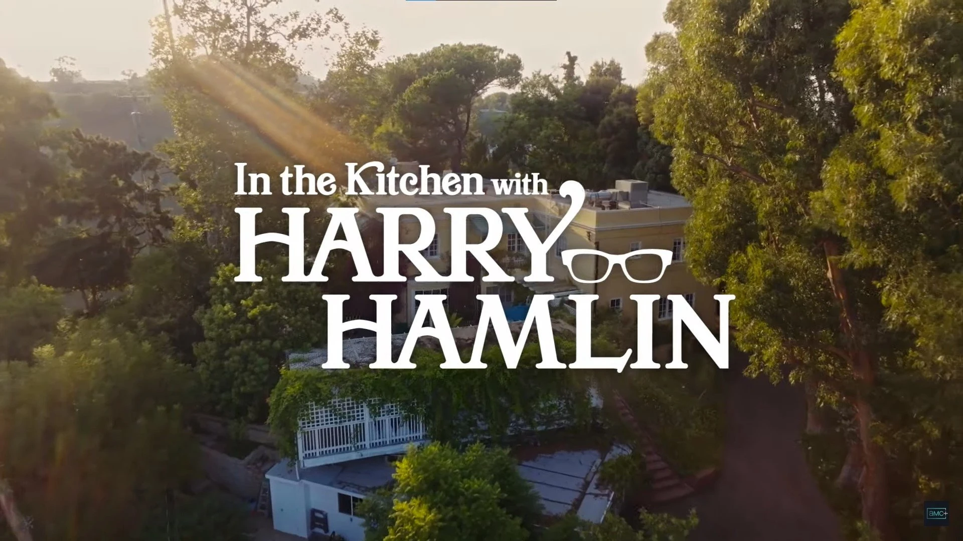 Foto de In the Kitchen with Harry Hamlin