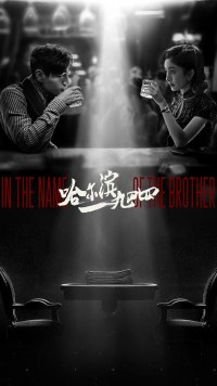 Serie In the Name of the Brother