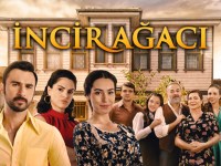 Serie İncir Ağacı