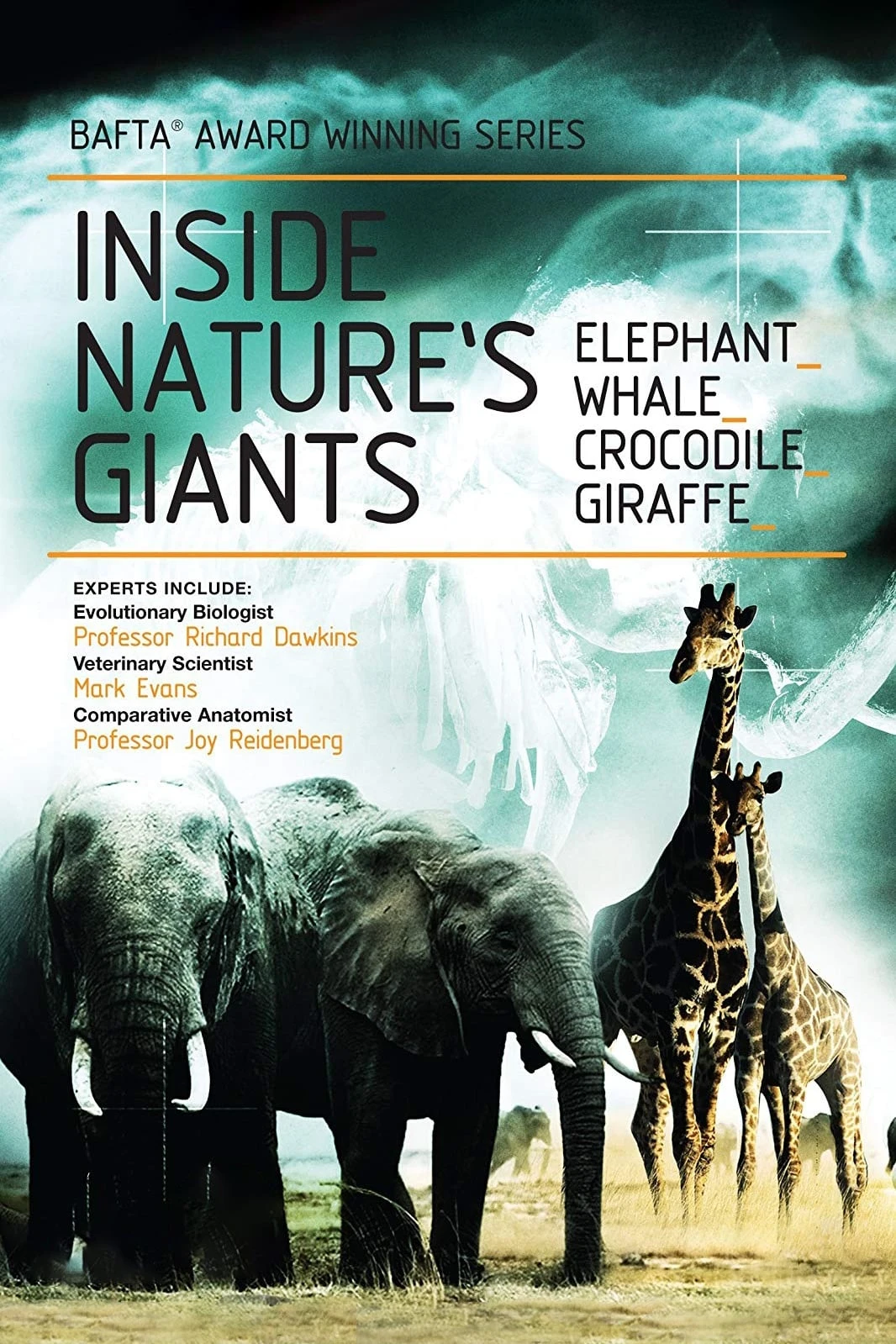 Poster  de Inside Nature's Giants en inglés