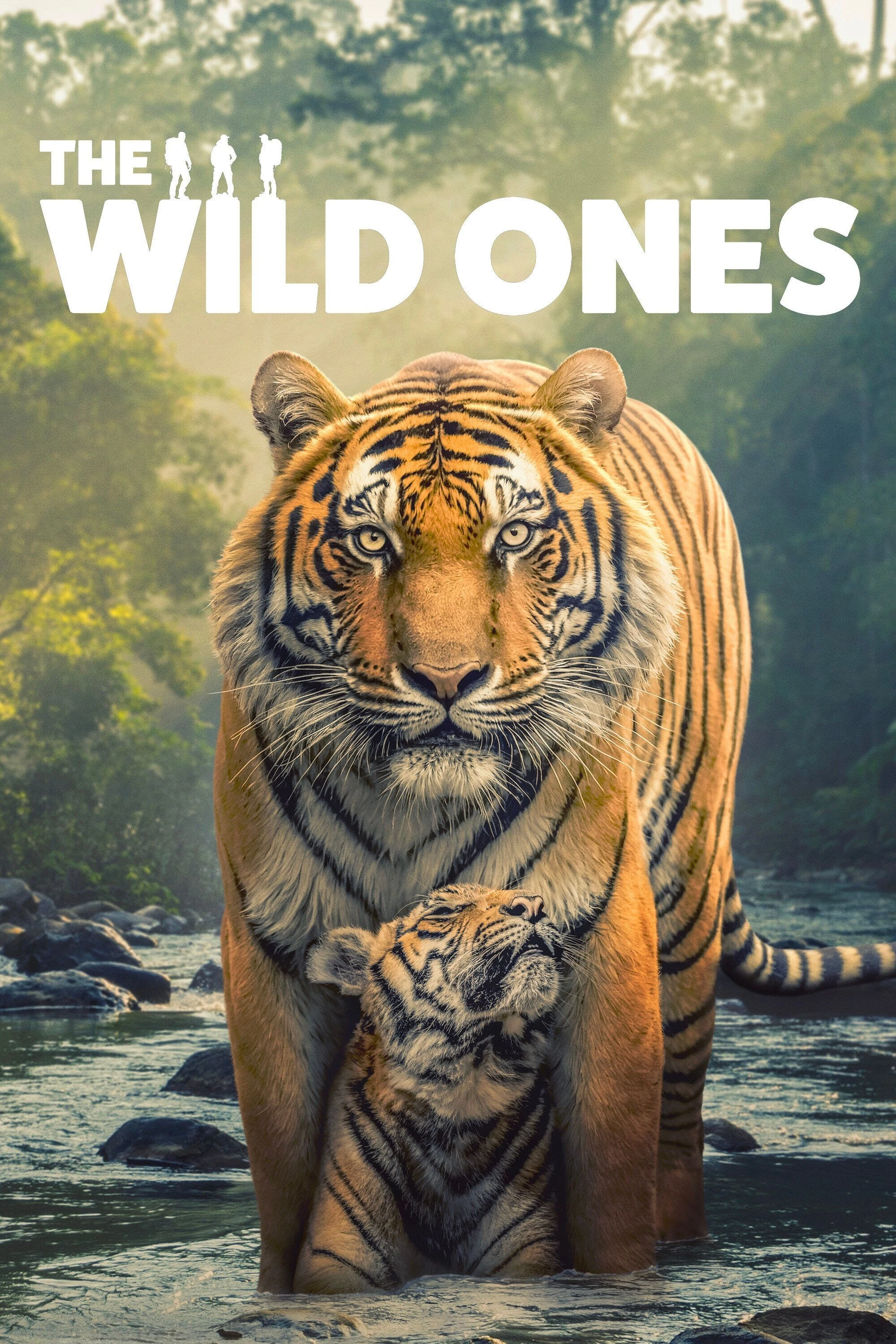 Poster  de The Wild Ones en inglés
