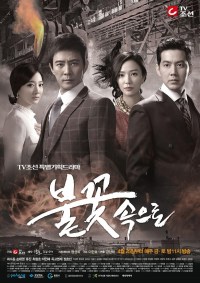 Serie Into the Flames