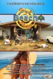 It's a Beach Thing