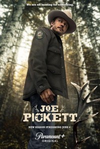 Serie Joe Pickett