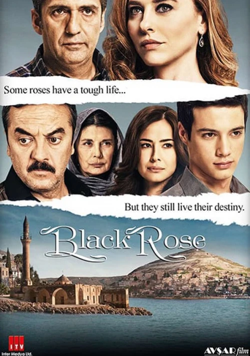 Poster  de la temporada 2 de Black Rose