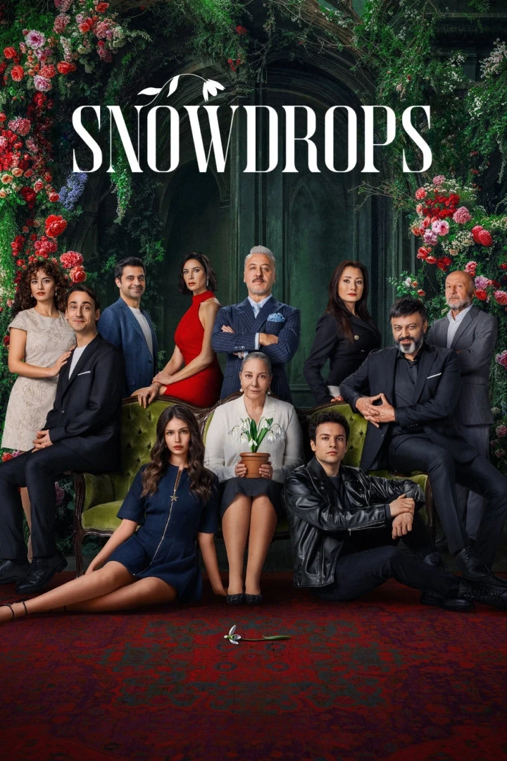 Poster  de Snowdrops en inglés
