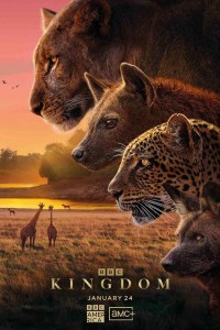Serie Kingdom