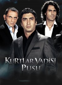 Serie Kurtlar Vadisi: Pusu