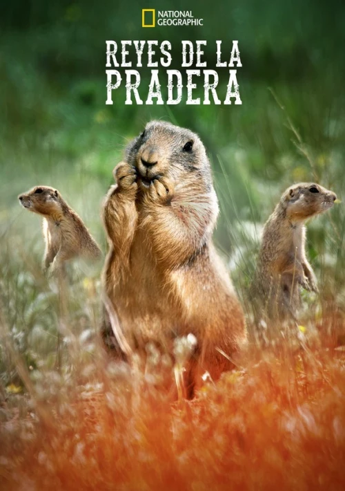 Poster  de la temporada 1 de Prairie Dog Manor