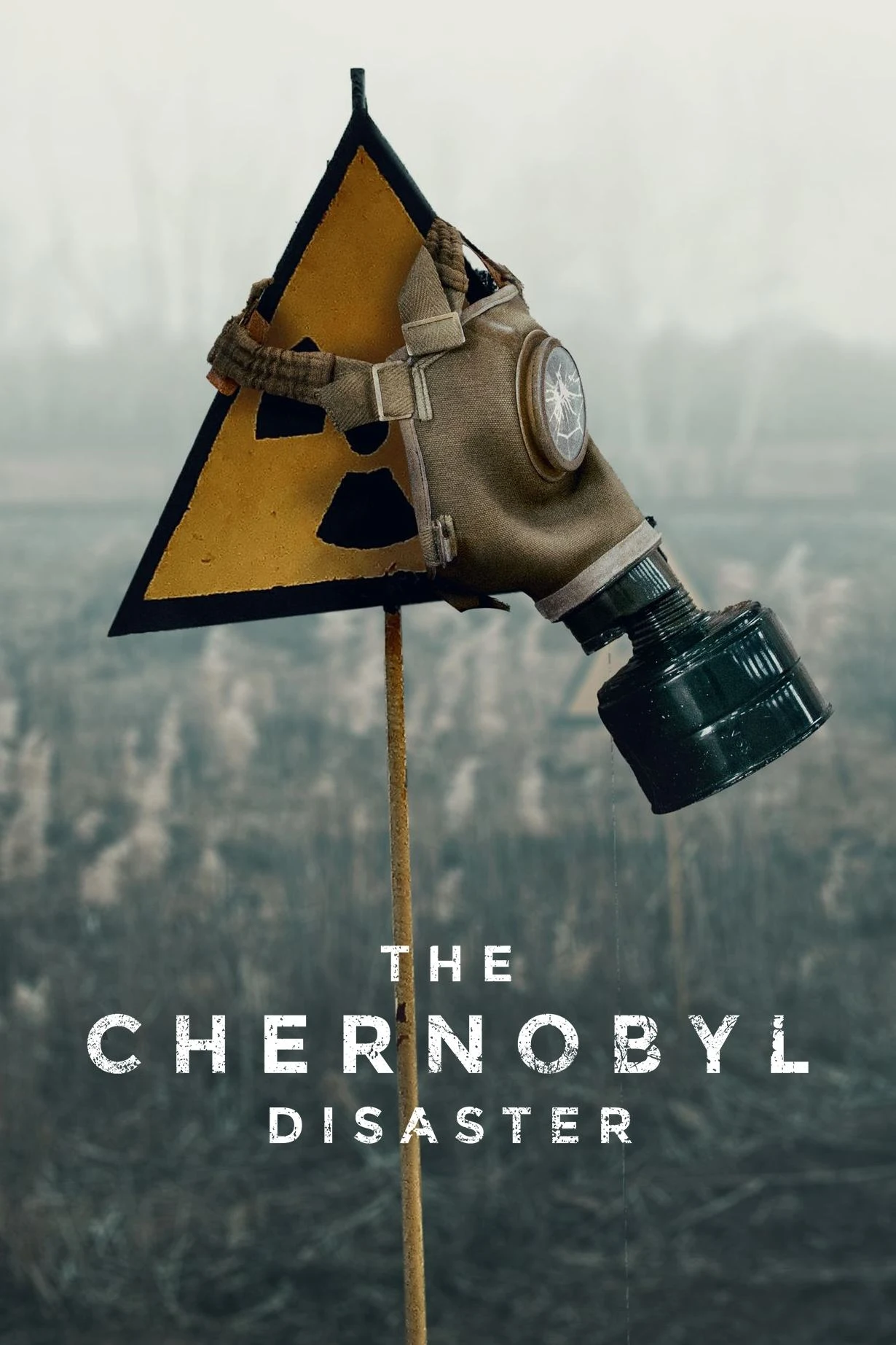 Poster  de The Chornobyl Disaster en inglés
