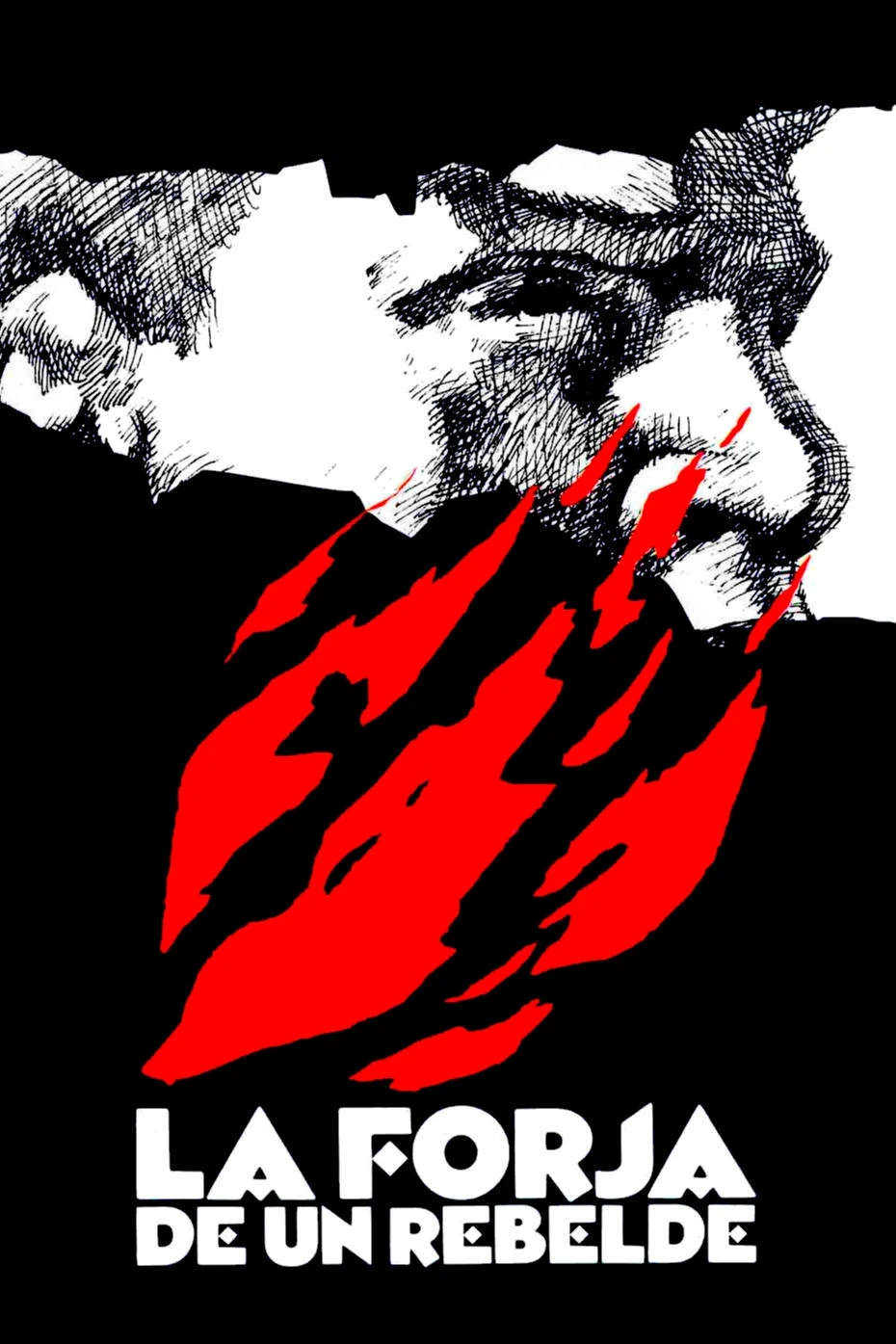 Poster  de La forja de un rebelde en español