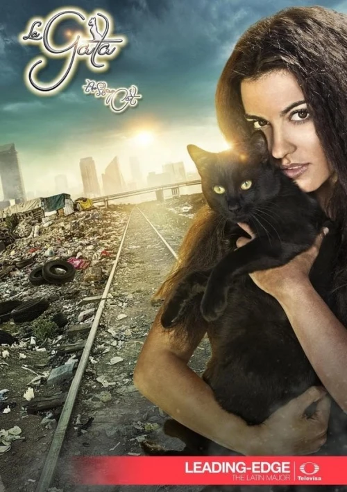 Poster  de la temporada 1 de The Stray Cat