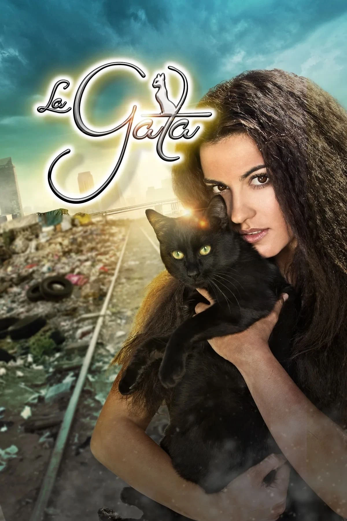 Poster  de The Stray Cat en español