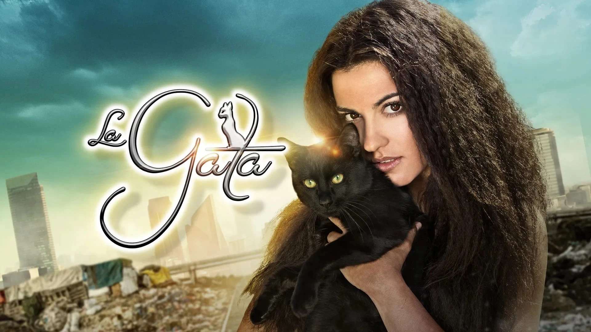 Foto de The Stray Cat