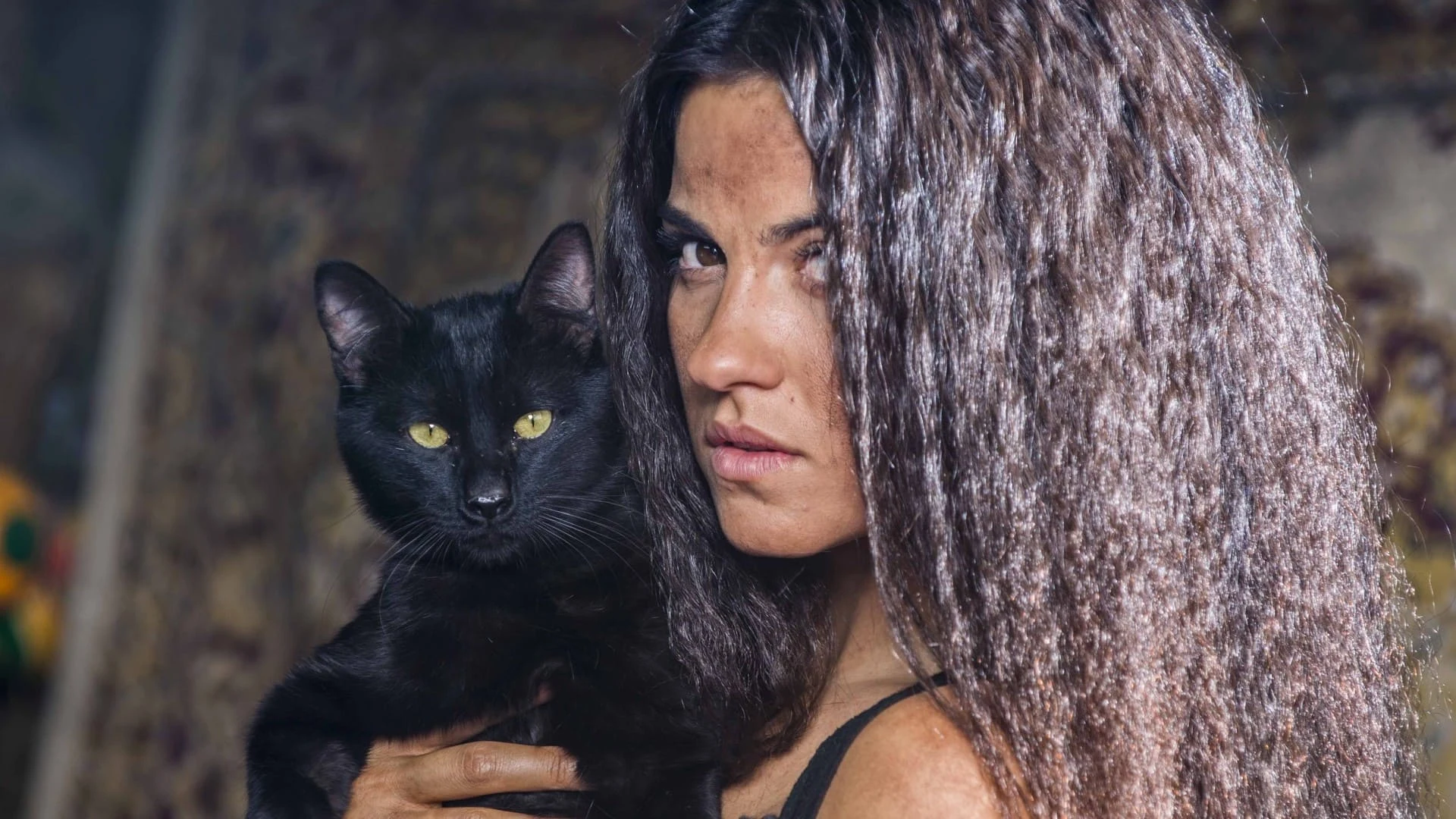 Foto de The Stray Cat
