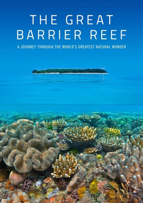 Poster  de la temporada 1 de Great Barrier Reef