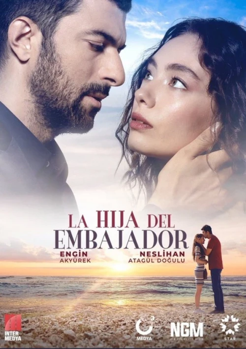 Poster  de la temporada 1 de The Ambassador's Daughter