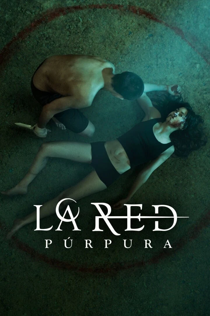 Poster  de La red púrpura