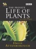 La vida privada de las plantas