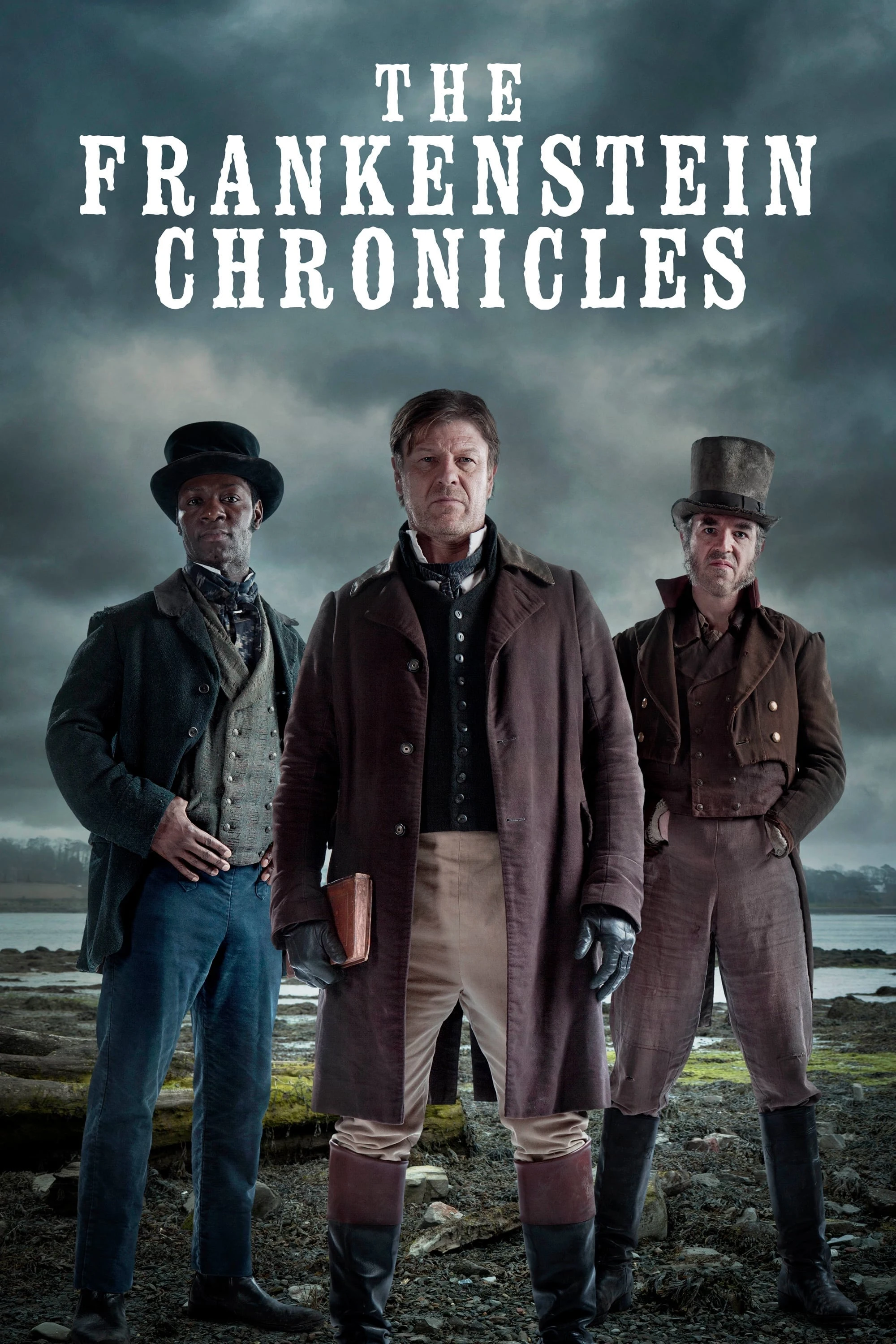 Poster  de The Frankenstein Chronicles en inglés