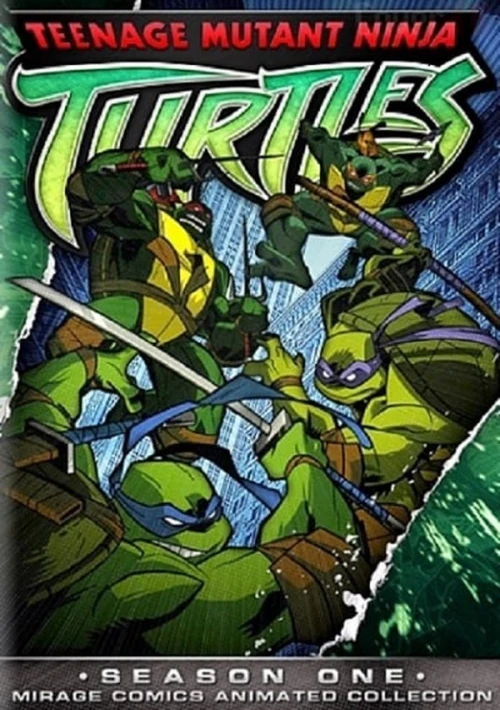 Poster  de la temporada 1 de Teenage Mutant Ninja Turtles 2003 series