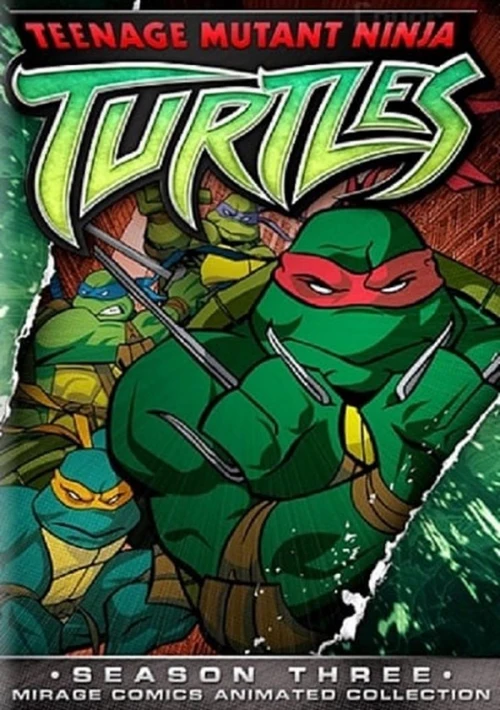 Poster  de la temporada 3 de Teenage Mutant Ninja Turtles 2003 series
