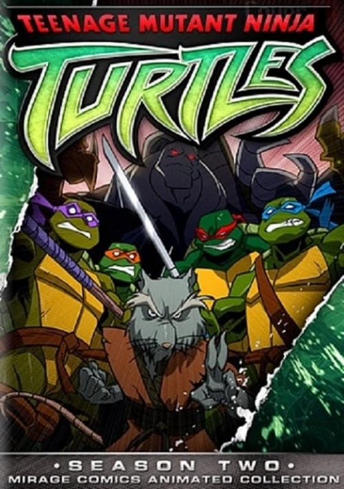 Poster  de la temporada 2 de Teenage Mutant Ninja Turtles 2003 series
