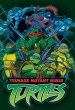 Teenage Mutant Ninja Turtles 2003 series
