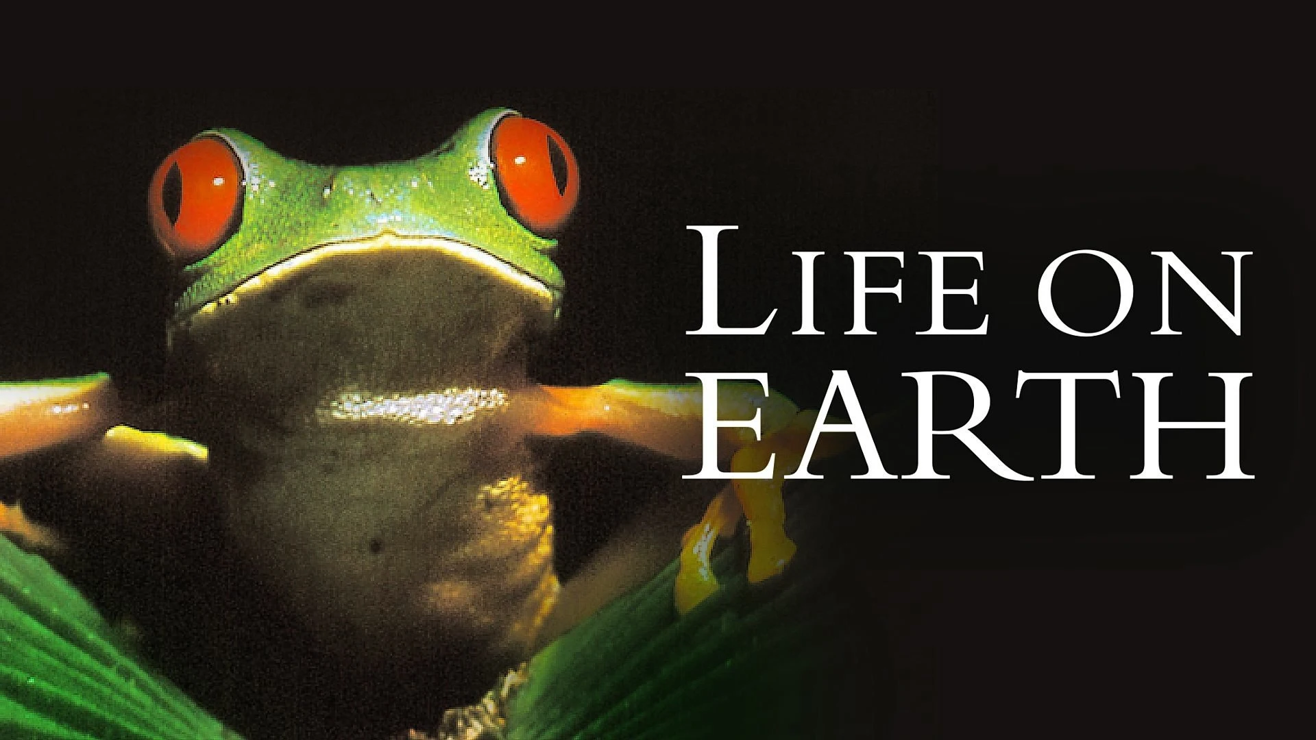 Foto de Life on Earth