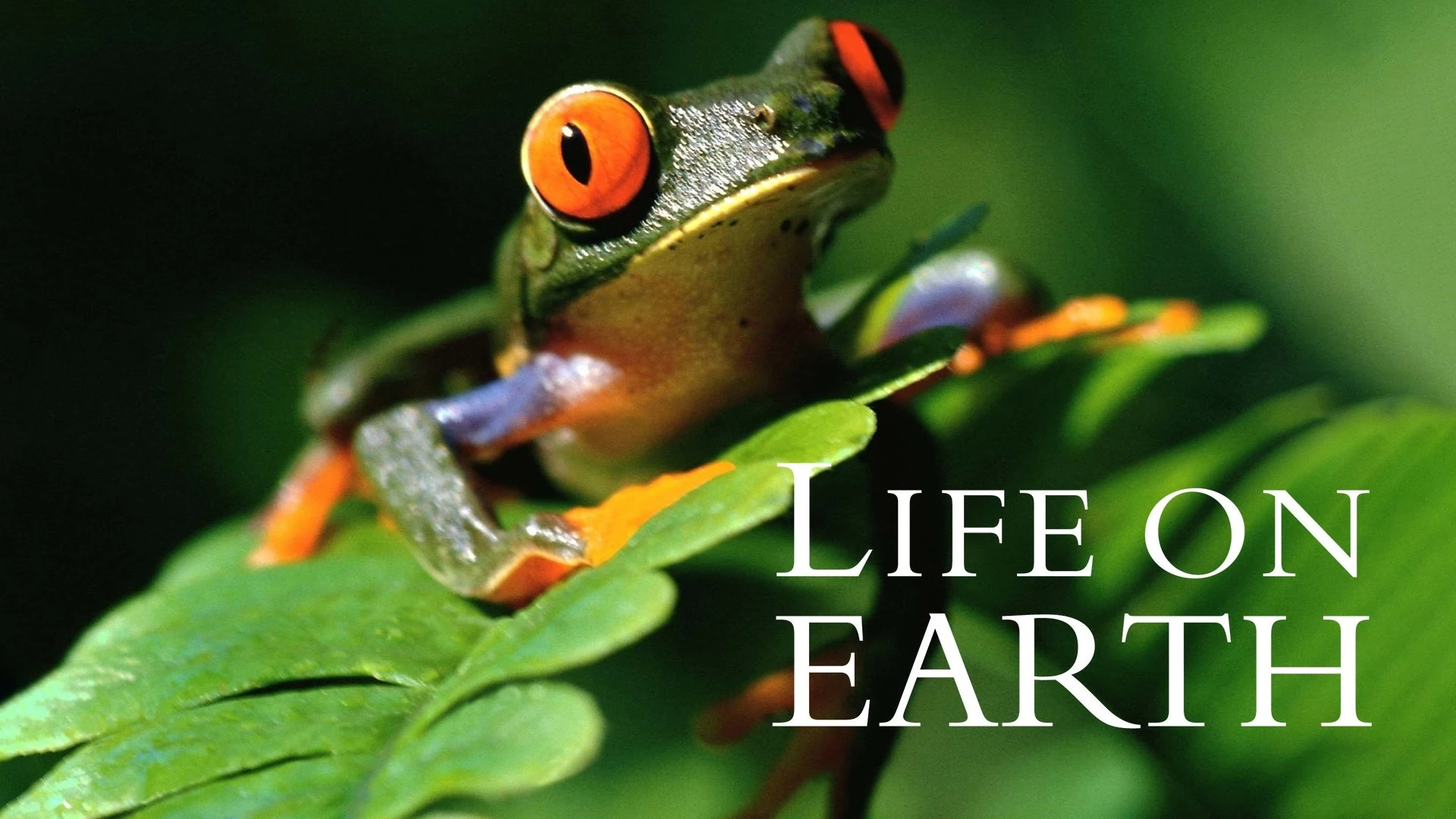 Foto de Life on Earth