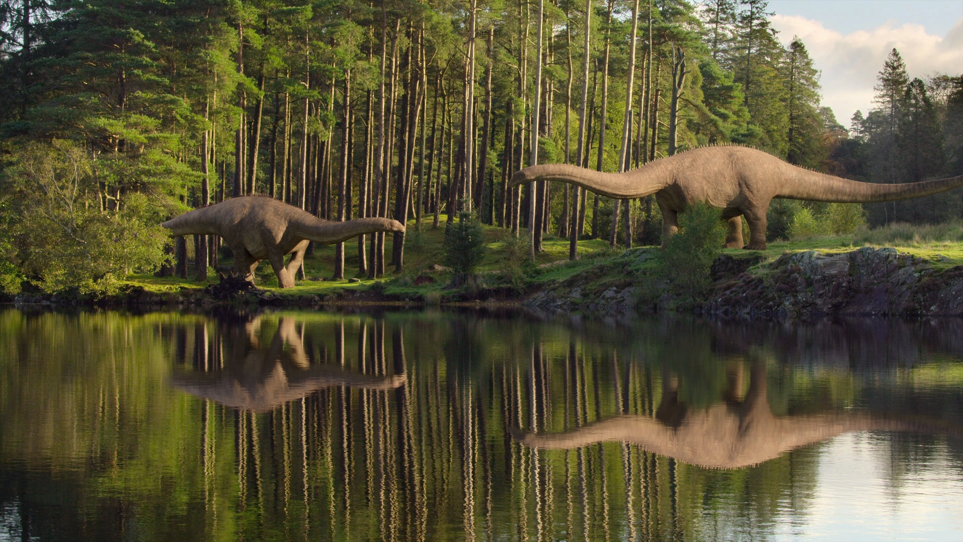 Foto de Life on Our Planet